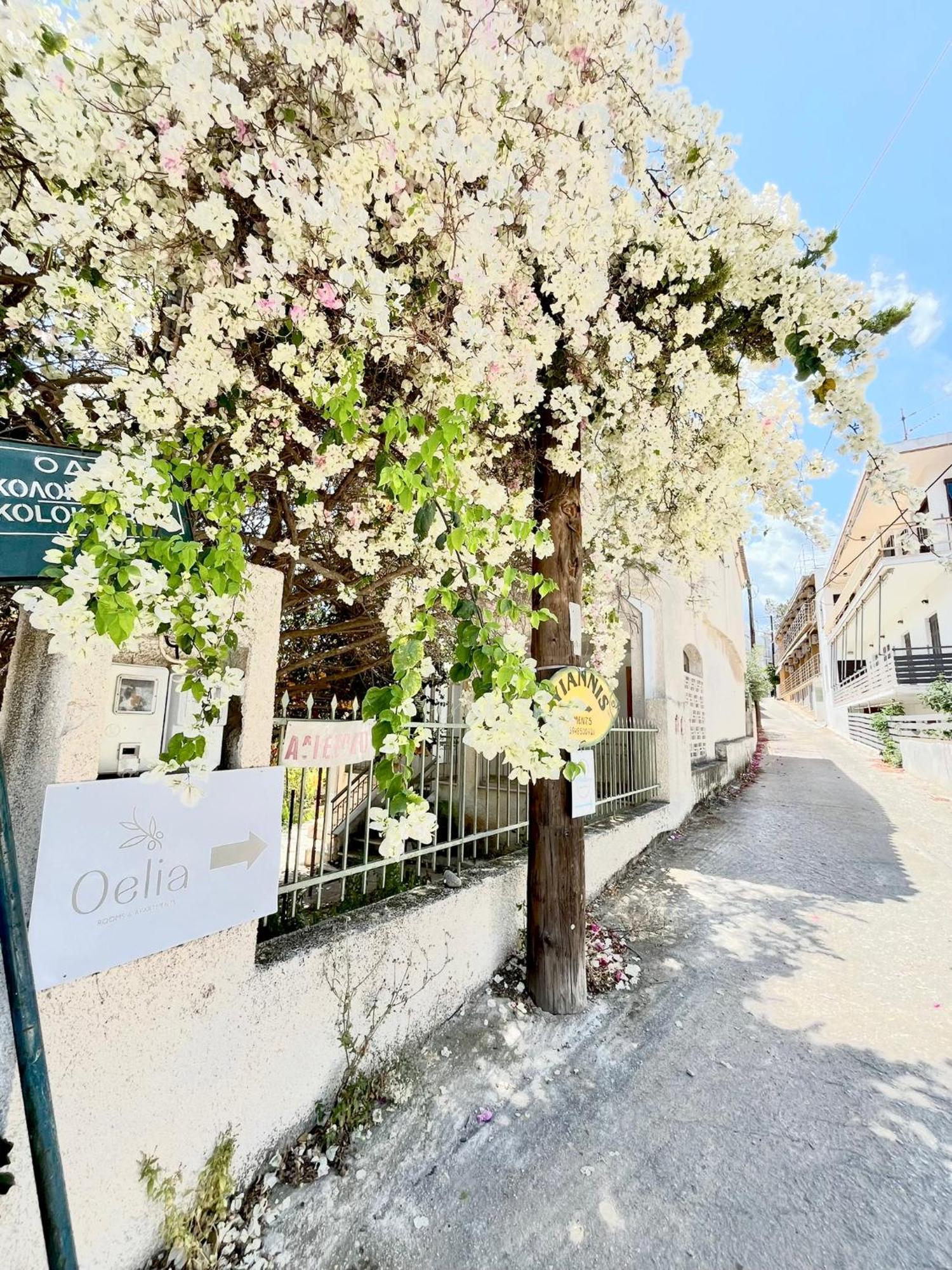Oelia Rooms & Apartments Agia Marina  Bagian luar foto
